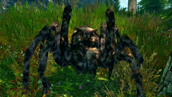 Глядя на этого мохнатого красавца.. (сборка 6.0 ЛЕТО)