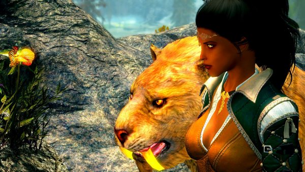 Ах, эти желтые глазаа! )) (сборка 6.0 ЛЕТО)