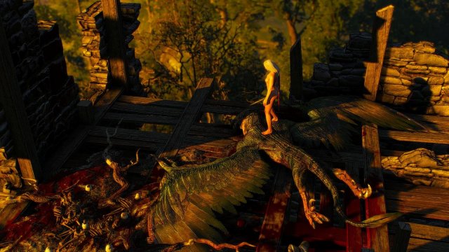 witcher3 2020-01-29 22-20-34-28.jpg