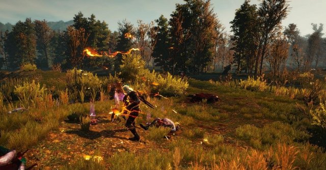 witcher3 2020-01-29 17-15-06-21.jpg