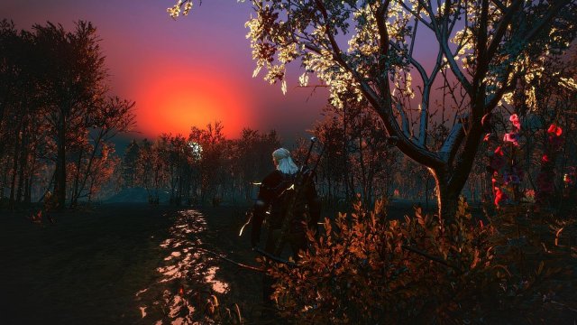 witcher3 2020-01-29 21-32-39-91.jpg