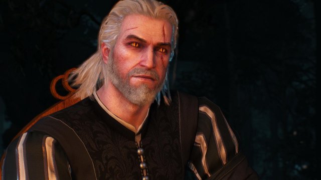 witcher3 2020-01-30 21-31-32-91.jpg
