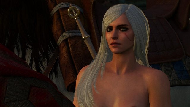 witcher3 2020-01-29 22-21-45-77.jpg