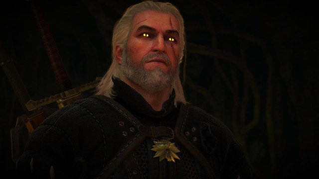 witcher3 2020-01-29 19-19-33-71.jpg