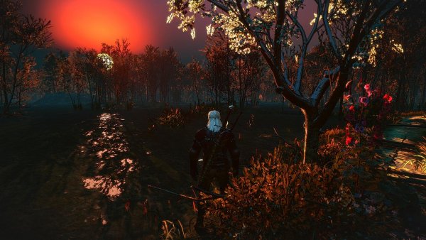 witcher3 ЗАКАТ НА КРИВОУХОВЫХ..