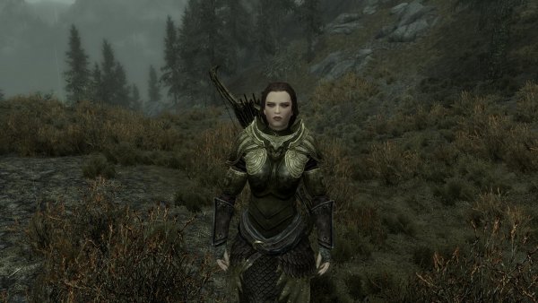 TESV 2020-02-01 17-35-37-41.jpg