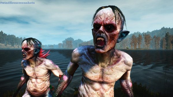 witcher3 УТОПЦЫ - "симпатяги"! )))