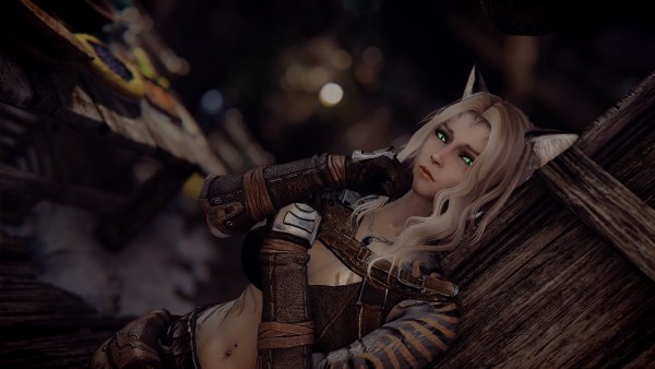 Half-khajiit пресет