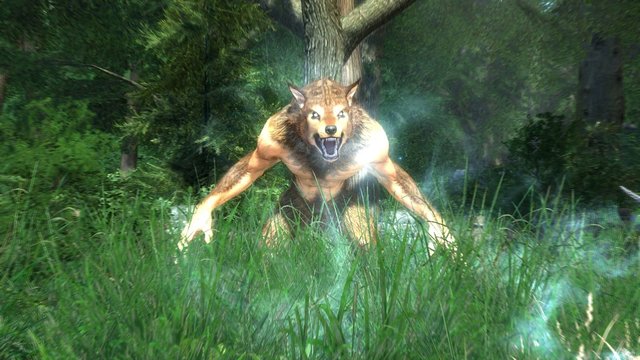 enb 2020_03_05 21_51_37_68.jpg