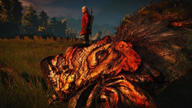 witcher3 2020-02-01 01-56-58-15.jpg
