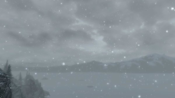 TESV 2020-03-29 16-01-03-67.jpg