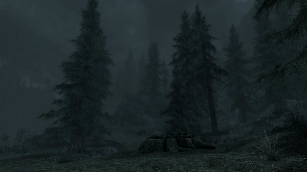 TESV 2020-03-01 17-52-30-66.jpg