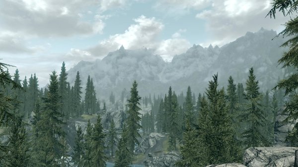 TESV 2020-03-28 17-17-39-27.jpg