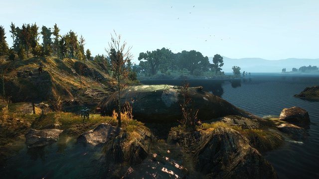 witcher3 2020-02-15 00-04-50-89.jpg