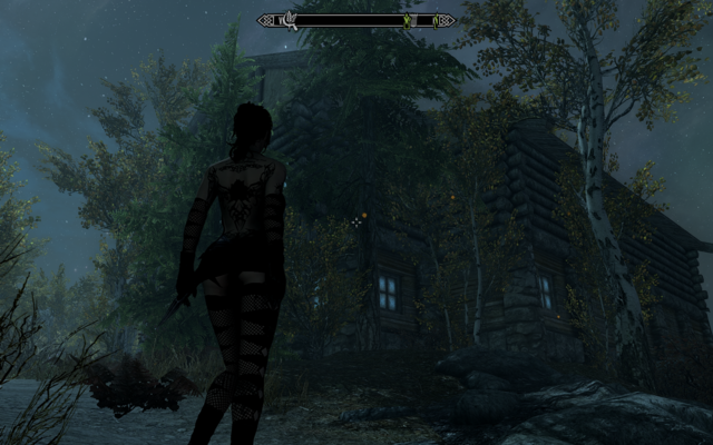 SkyrimSE 2020-04-06 00-58-11.png