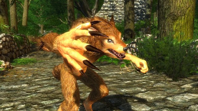 enb 2020_03_05 21_48_43_26.jpg