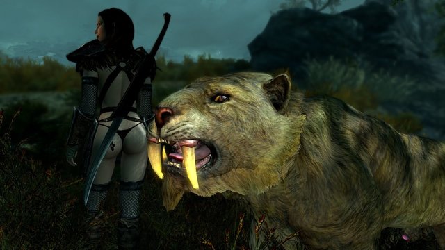 SkyrimSE 2019-11-30 23-45-17.jpg