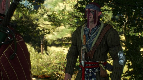 Скоя’таэль благодарит Геральта.. WITCHER III