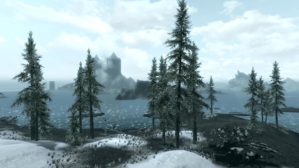 TESV 2020-04-17 15-44-52-37.jpg