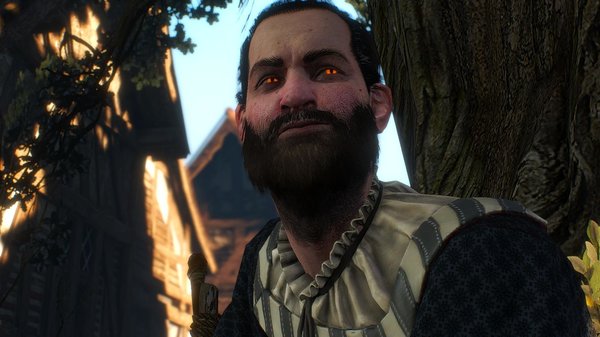 Ведьмак школы Кота - почти кот )) WITCHER III