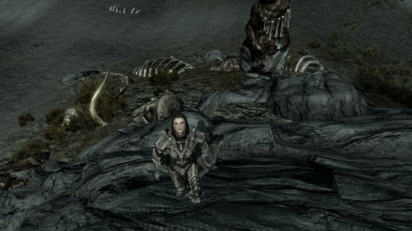 TESV 2020-04-13 17-09-27-99.jpg