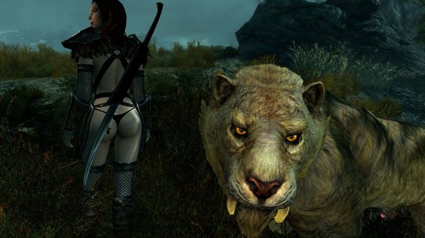 Эйла и кись! (сборка 5.1)