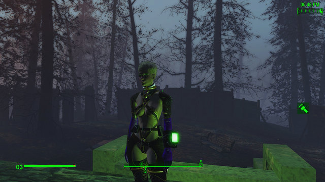 Fallout4 2020-05-06 11-08-33-441.jpg