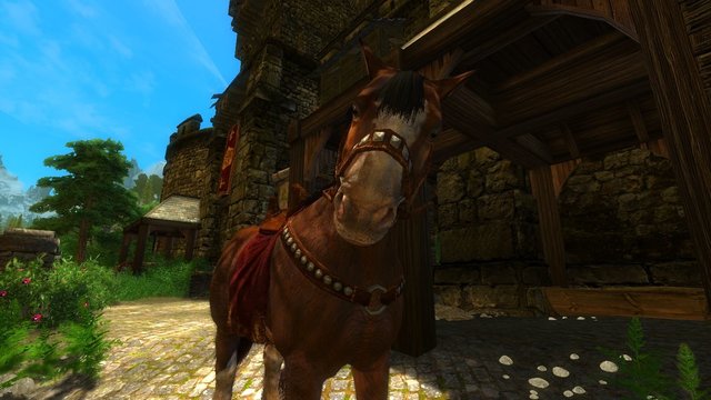 enb 2020_04_07 20_48_51_43.jpg