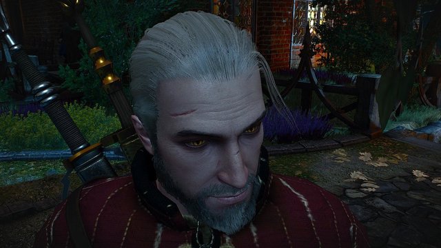 witcher3 2020-05-16 23-35-34-45.jpg