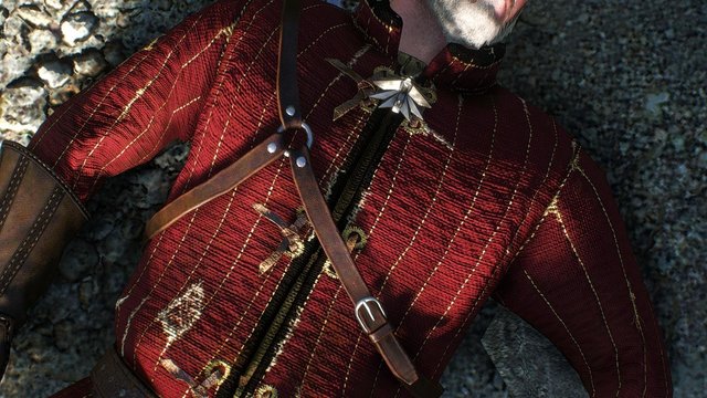 witcher3 2020-02-20 02-07-16-41.jpg