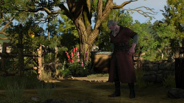 witcher3 2020-05-22 00-04-58-88.jpg