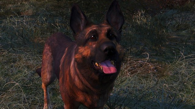 Fallout4 2020-05-26 00-17-11.jpg