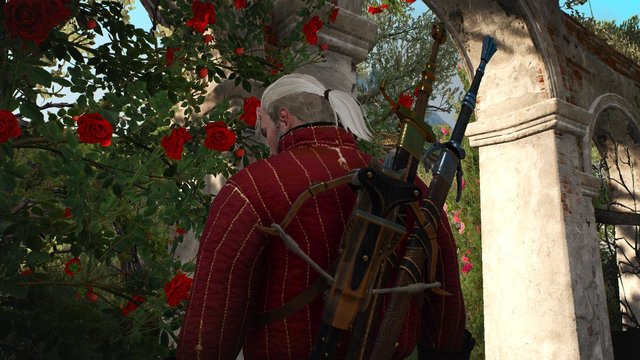 witcher3 2020-05-17 00-21-41-19.jpg