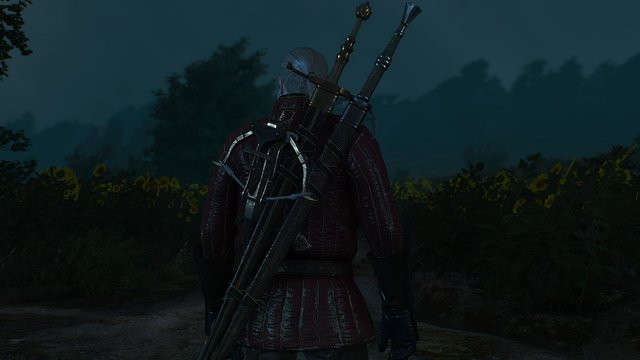 witcher3 2020-05-18 21-49-03-72.jpg