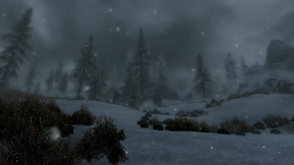 TESV 2020-05-22 18-32-11-08.jpg