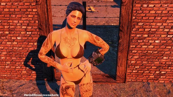 Закончила строить забор.. FALLOUT-4 (Сборка 6.1)