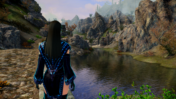 SkyrimSE 6.0 (Лето) - Любуется видами с моста