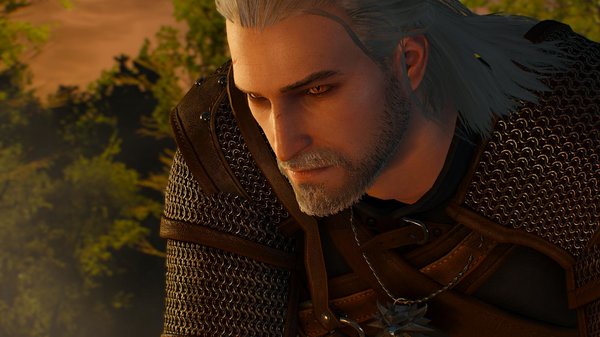 Красавчик Геральт ;) ВЕДЬМАК III  (сборка Торна)