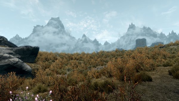 TESV 2020-05-16 17-34-31-24.jpg