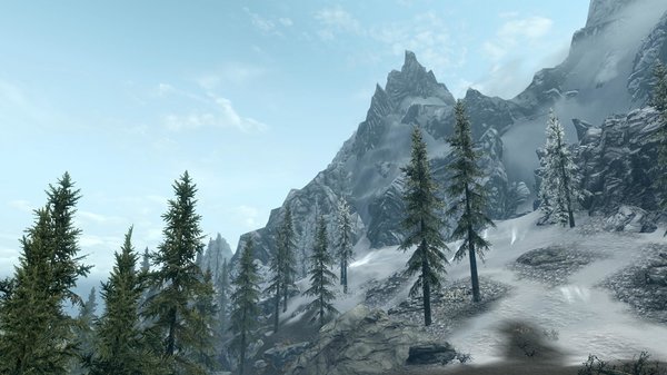 TESV 2020-05-31 16-53-18-24.jpg