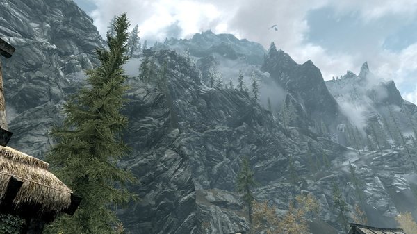 TESV 2020-05-08 13-51-21-41.jpg