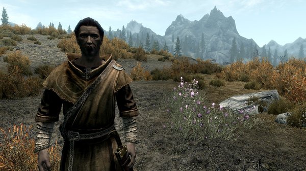 TESV 2020-05-16 17-34-24-03.jpg