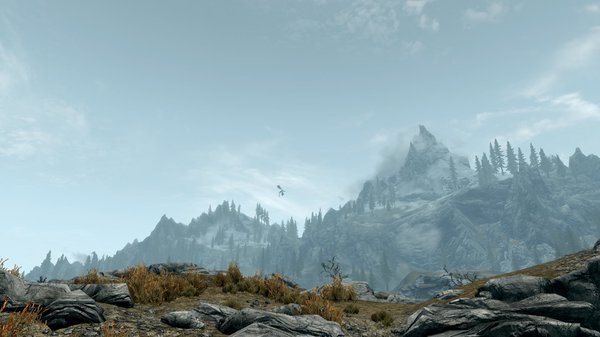 TESV 2020-05-16 17-34-15-48.jpg