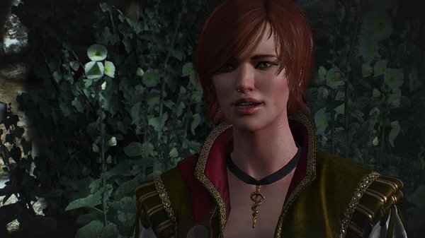 ШАНИ.. ВЕДЬМАК III (сборка Торна)