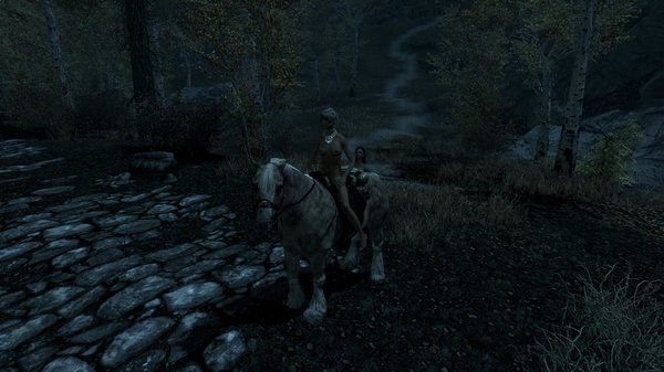 TESV 2020-05-27 16-14-59-93.jpg