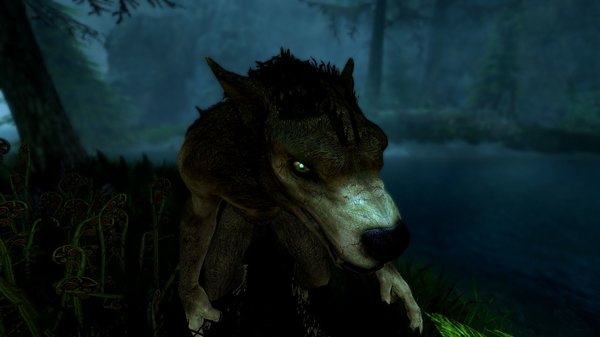 Вервольф-дикарь в ночи.. SkyrimSE (сборка 6.0)