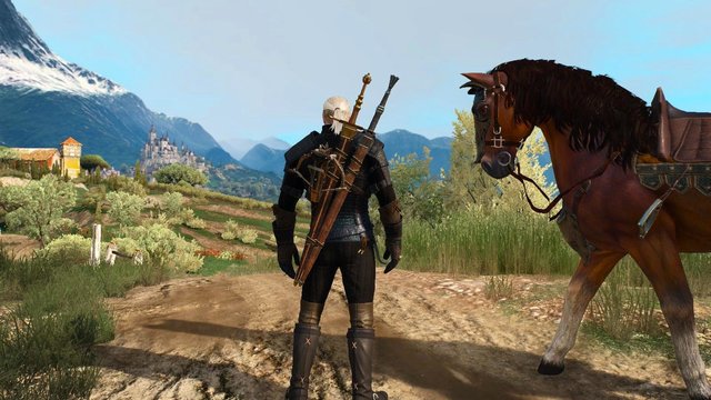 witcher3 2020-06-04 22-30-18-74.jpg
