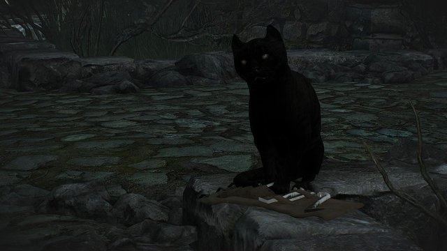 witcher3 2020-05-23 00-35-56-67.jpg