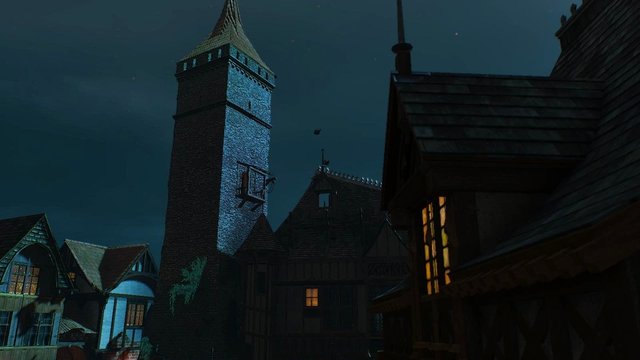 witcher3 2020-05-20 22-18-52-70.jpg