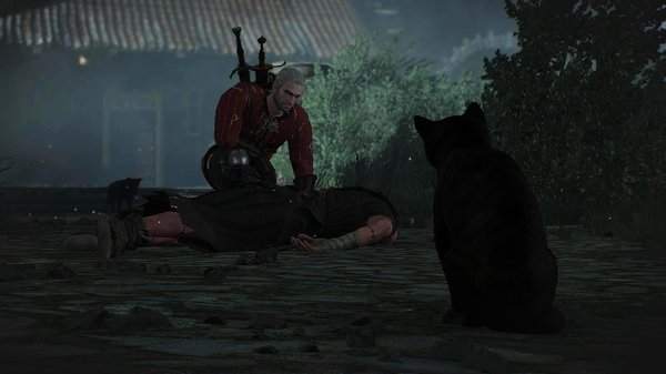 Геральт убил стража дома.. ВЕДЬМАК III (сборка Торна)